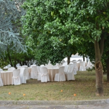 AGP_6889